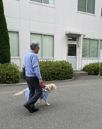 https://kansai-guidedog.jp/harness/2bdc454c3e30bbb68d5150b87f5b3a42fdaabe22.jpg