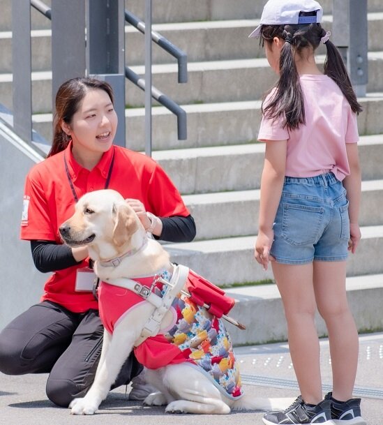 https://kansai-guidedog.jp/harness/3aac6d12be5c0e06526c19955ebbf4dce453eb8e.jpg