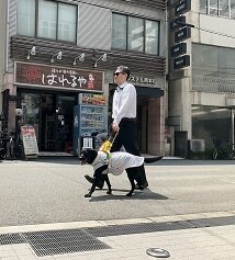 https://kansai-guidedog.jp/harness/3d9ec4c11e972215c6bdde1629447539af3e2d66%20%281%29.jpg