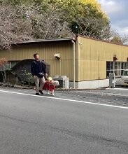 https://kansai-guidedog.jp/harness/IMG_2170.jpg