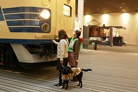 【講演会】盲導犬を使用する視覚障害者について知る (4).jpg