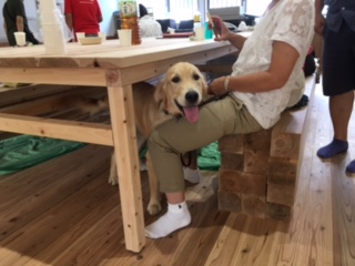 パピースクールinテラス?宮崎アリエル.JPG