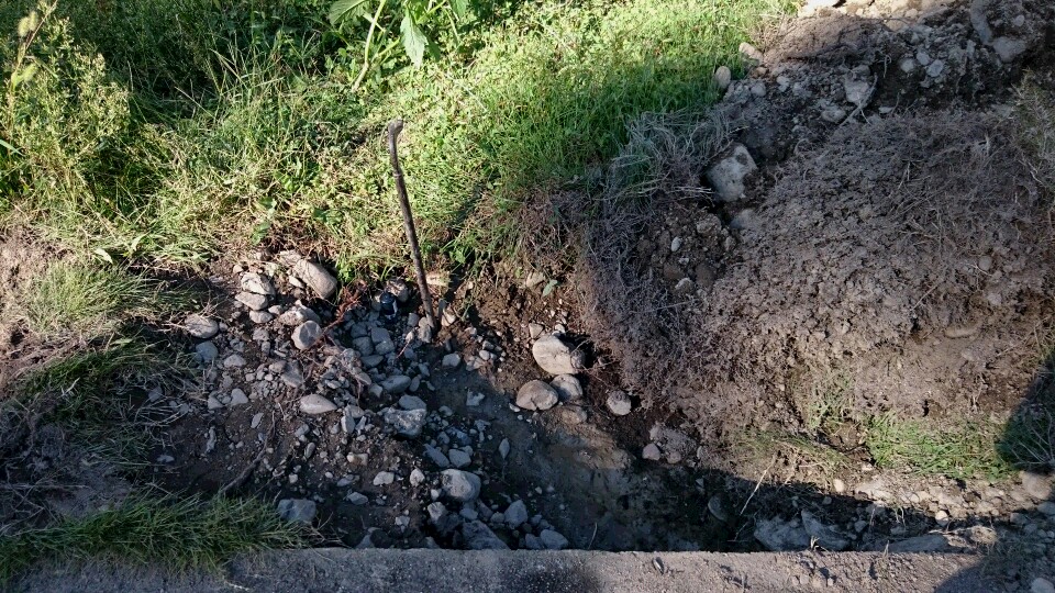 20150929_03.JPG