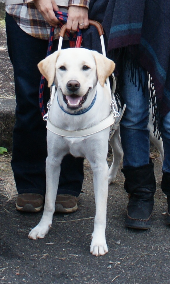 /support/volunteer/blog/item/DSC05716.JPG