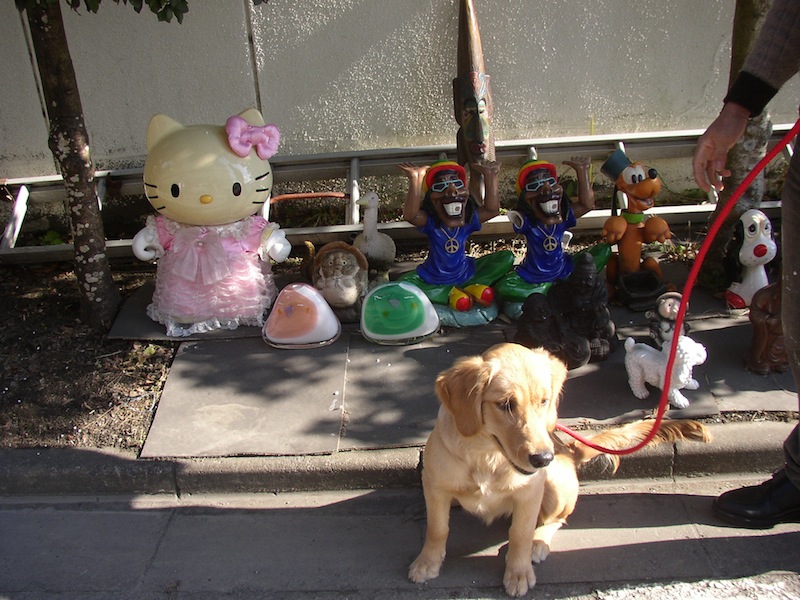 /support/volunteer/blog/item/P1010132.JPG